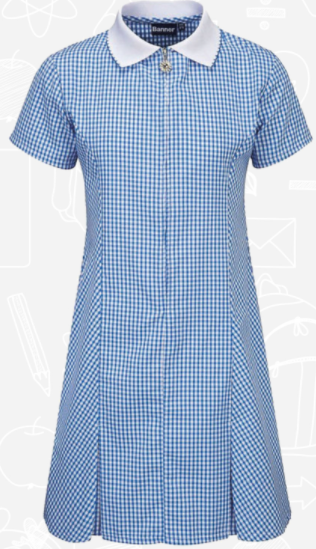 light blue and white checked dress